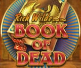 Book of Dead game artwork